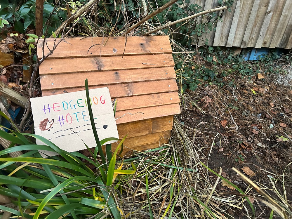 Building hedgehog houses 2