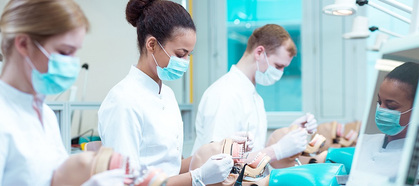 survey dental nurse apprenticeships dentistry nurse