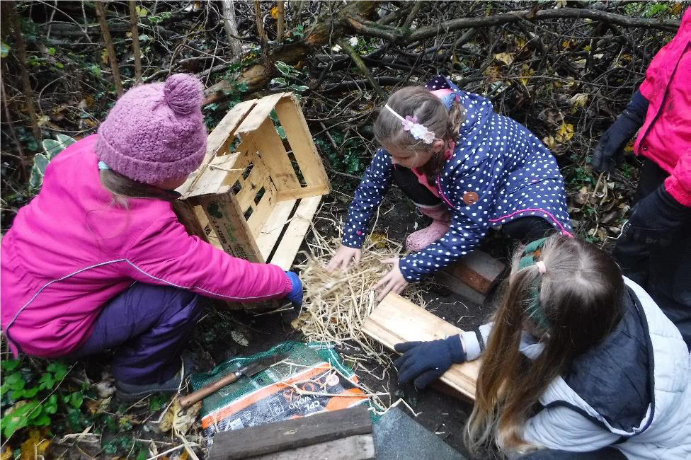 Key Stage 2 Chesnut Class Barnby North Cove