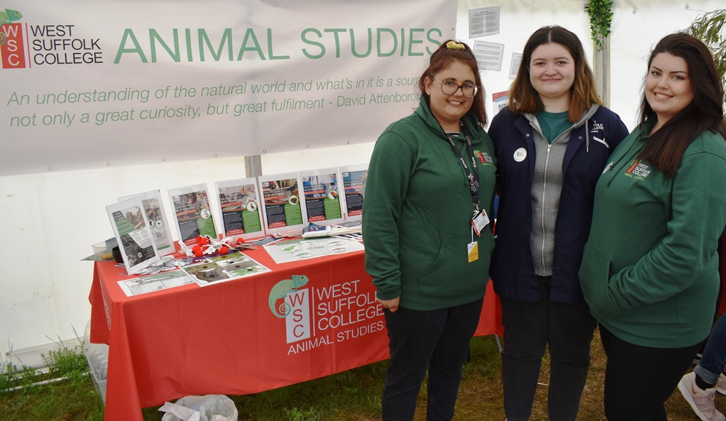 Animal studies at the Suffolk show