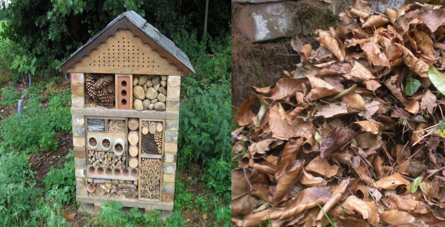 CONSTRUCTION BOX 2: Beautiful Bug Hotel