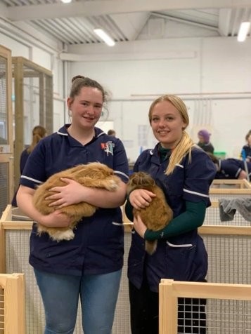 Two female Animal Studies students with beautiful rabbits smiling at camera